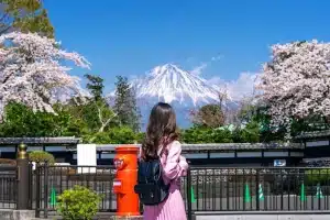 Attendee Looking At Fuji Mountain While Attending Teaching Conference