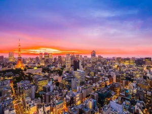 Aerial View of Tokyo City for the Research in Teaching Conference