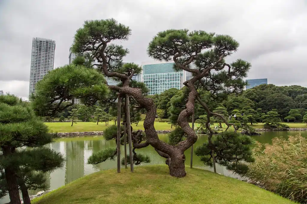 hamarikyu-gardens-in-tokyo-japan Invitation Letter